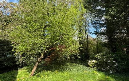 Charmantes Einfamilienhaus mit Naturgrundstück in ruhiger Wohnlage von Lilienthal-Worphausen