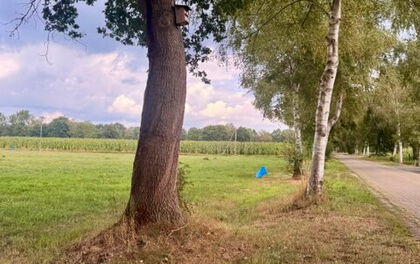 Baugrundstück in Worpswede-Überhamm